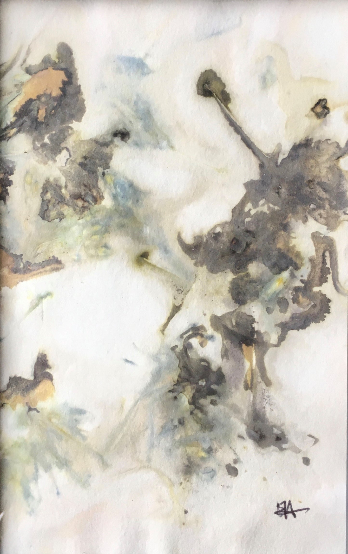 Wyoming Wildflower Eco Print #3