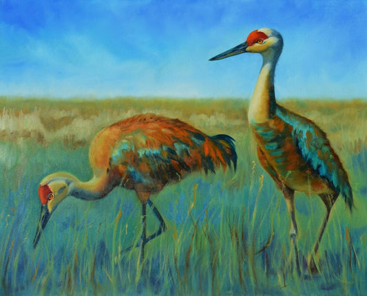 Card- "Morning Light" Sandhill Cranes