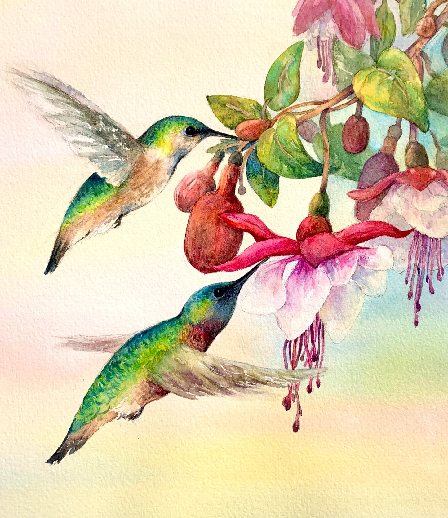 Original Watercolor - "Delicate Touch" Hummingbirds