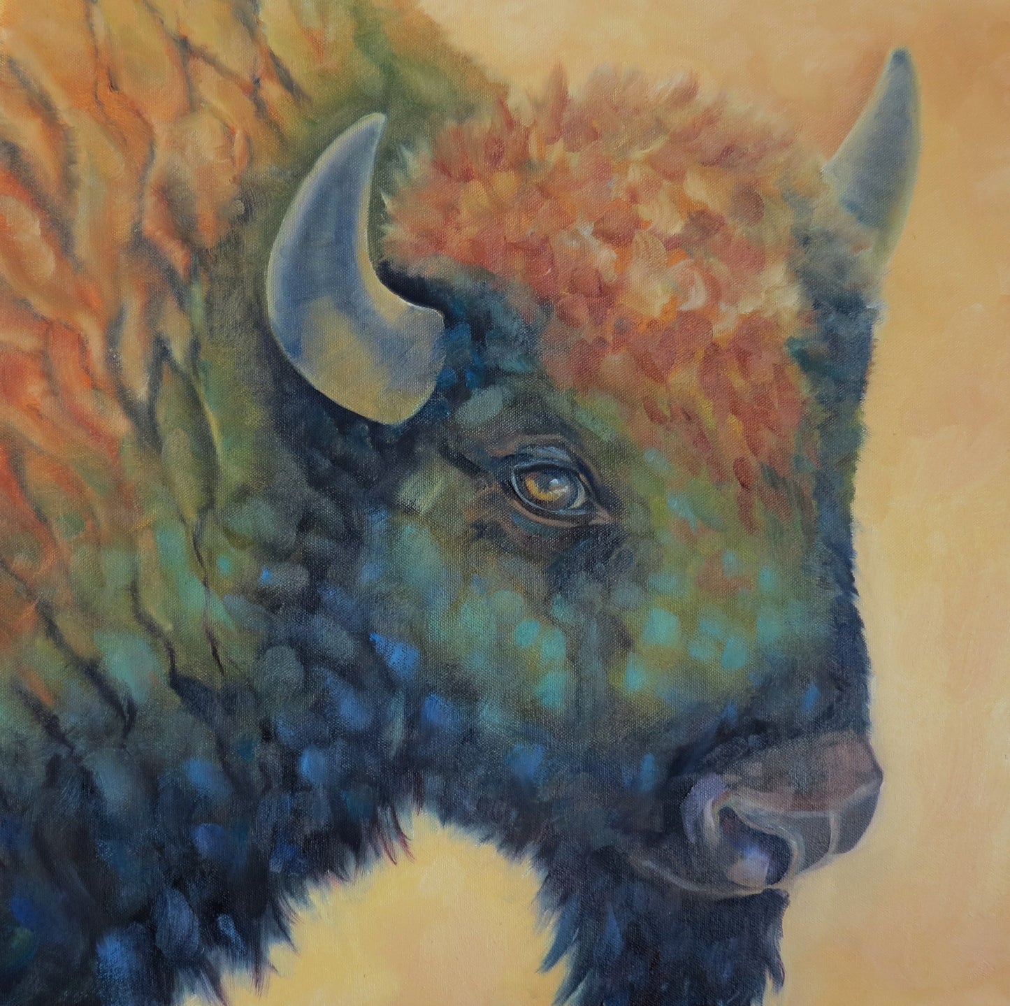 Card Pack- Set of 4 -Assorted Bison
