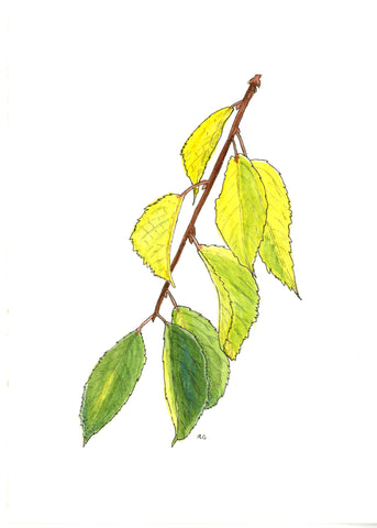 " Fall Leaf Gradient " Print