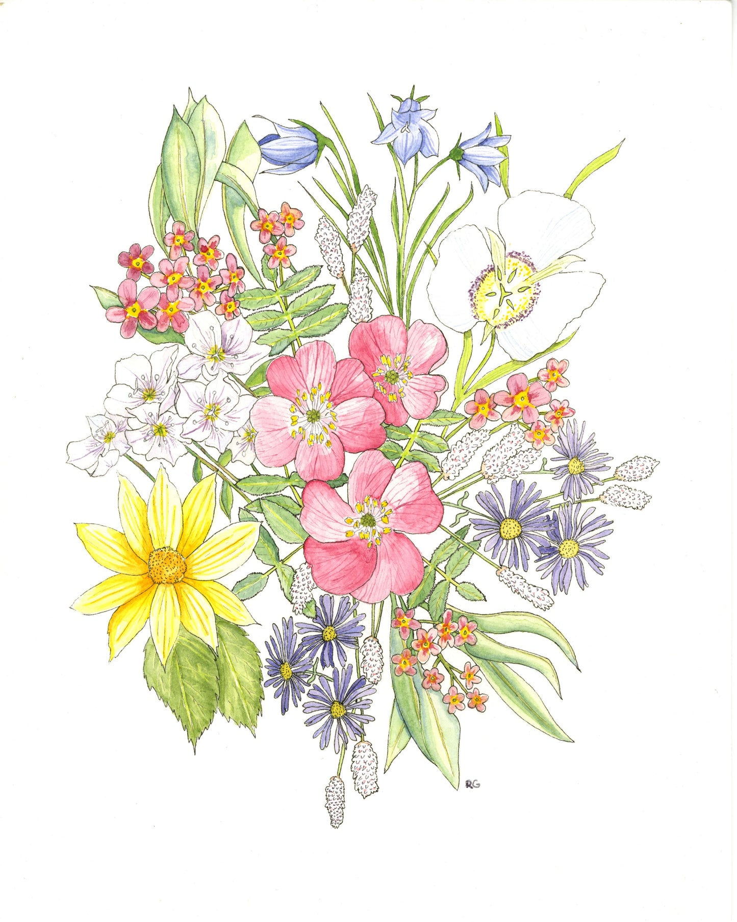 " Emma's Wyoming Wildflower Bouquet " Print