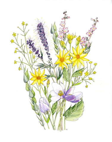 " Phacelia's Bouquet " Watercolor Print
