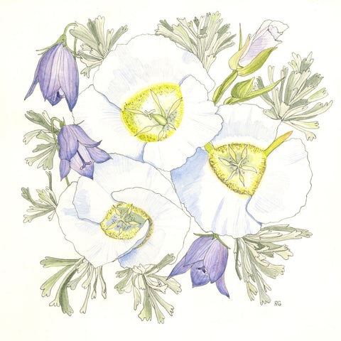 " Mid-July Mariposa Lilies " Print