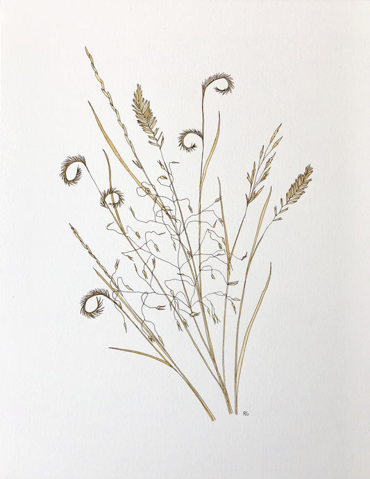 " Wyoming Grass Seedhead Study"  Original Watercolor Study