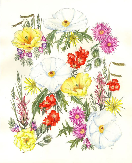 Laramie County Prairie Watercolor Painting Print