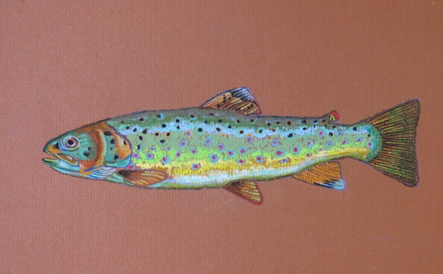 Card- "Brown Trout"