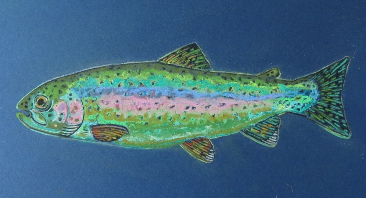 Card- "Rainbow Trout"