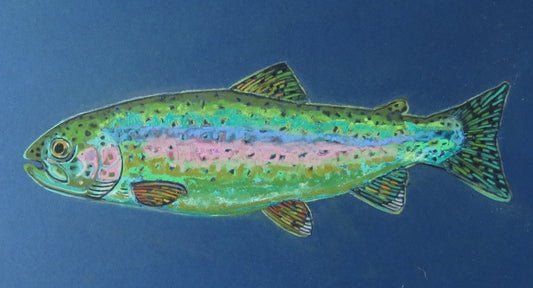 Card- "Rainbow Trout"