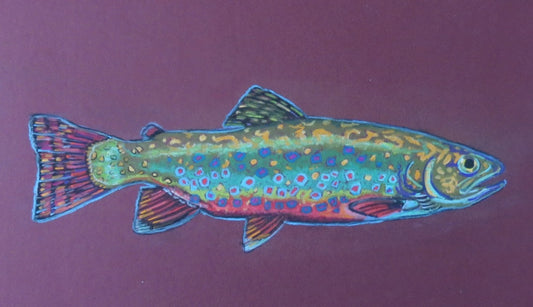 Card- "Brook Trout"