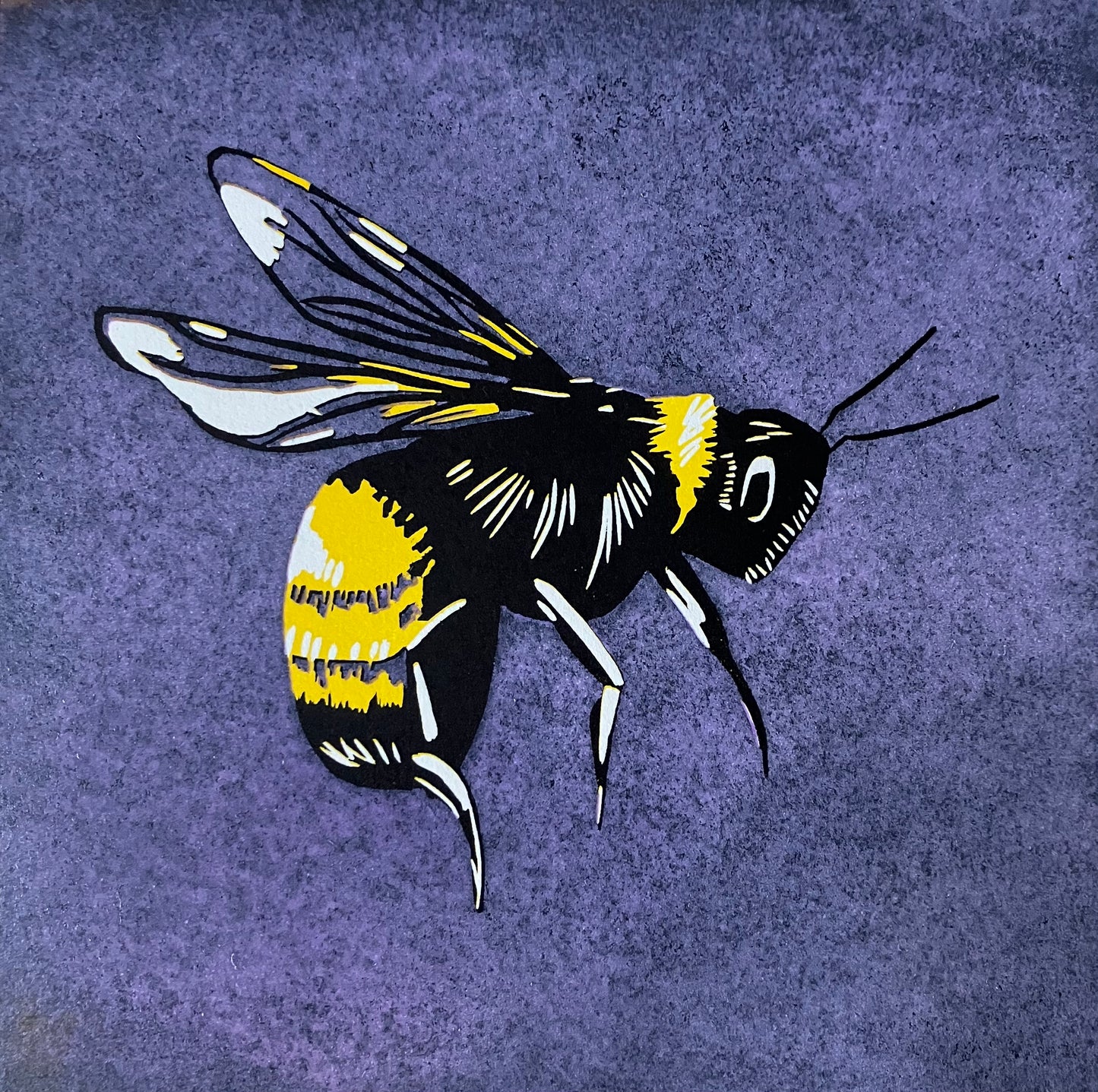Framed Linocut Print- "Bizzy Asa" Bee