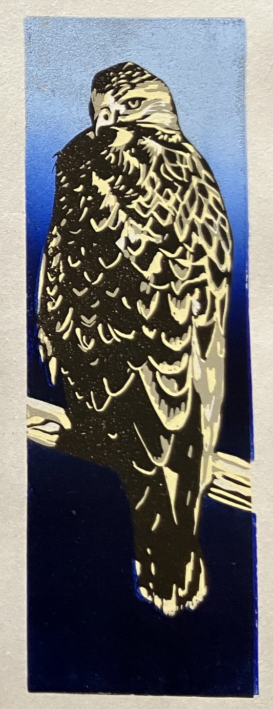Framed Linocut Print- "Swainson's" Hawk