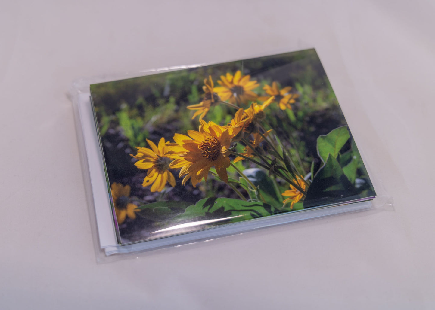 Greeting Card Pack - 6 Wyoming Wildflowers