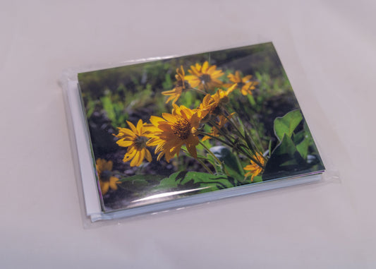 Greeting Card Pack - 6 Wyoming Wildflowers