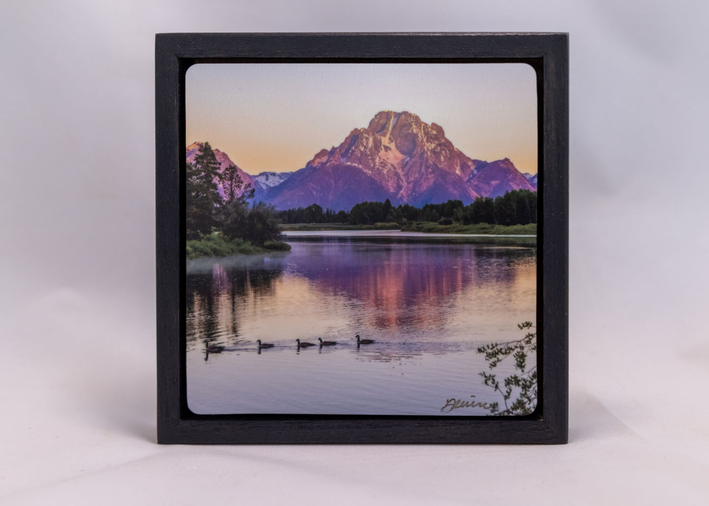 Framed Photography - " Mt. Moran - Oxbow Bend Morning "