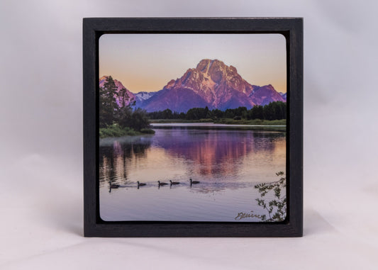 Framed Photography - " Mt. Moran - Oxbow Bend Morning "