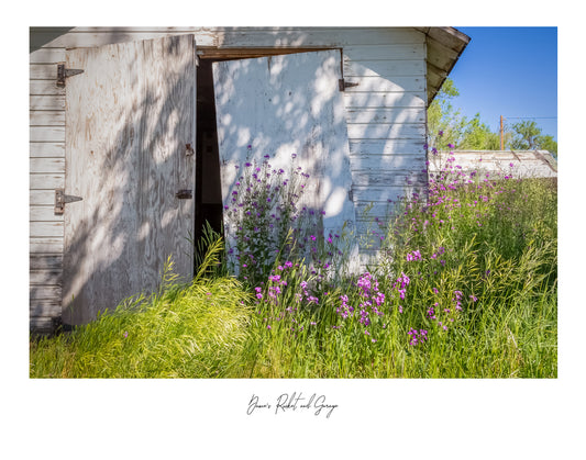 Photograph Print - "Dames Rocket and Garage"