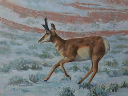 Card-"Wyoming Wild" Pronghorn