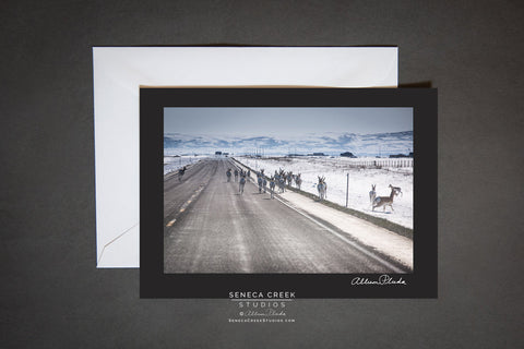 blank card with envelope. pronghorn on the road during winter
