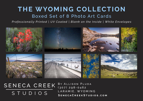 Wyoming Collection Boxed Photo Card Set