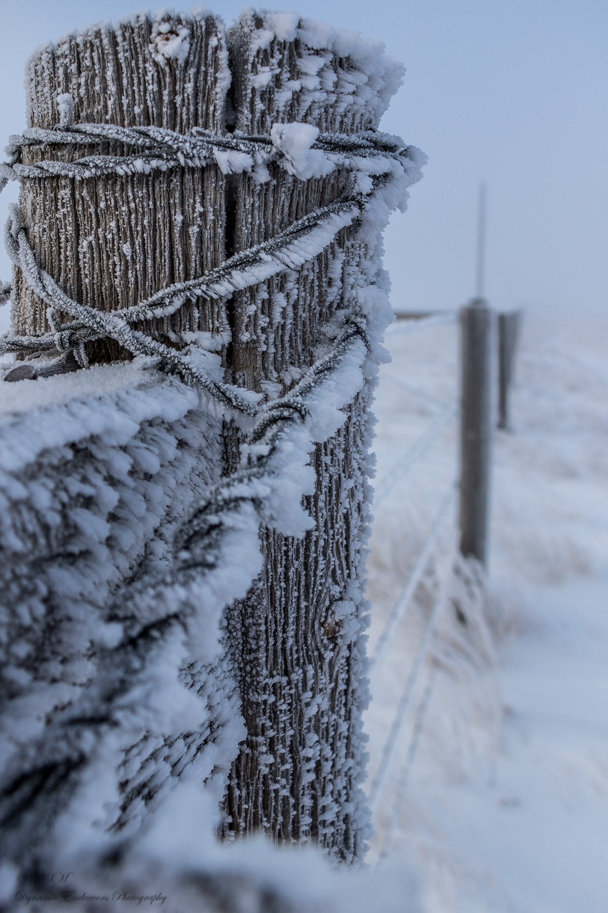 " A Simple Frosted Post " Photograph on Metal Artist: Kathleen Milks  Winter scene of a post with barb wire   Taken near Laramie Wyoming  Post can be found off scenic highway 130, Snowy Range road, which leads to the Snowy mountains  Great for any home or office  17" long x 11" high x 1/2" wide metal print  Sheer-Glossy photo on metal   Typical Wyoming winter sight, Snow on the fence
