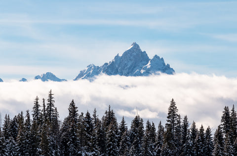 The Tetons covered in snow above a layer of clouds and trees  Choose from:  8" x 12" print  Printed on high-quality photo paper and ready for a frame  In a plastic sleeve with sturdy backing for added protection