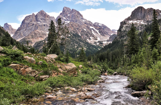 " Cascade Canyon " Print