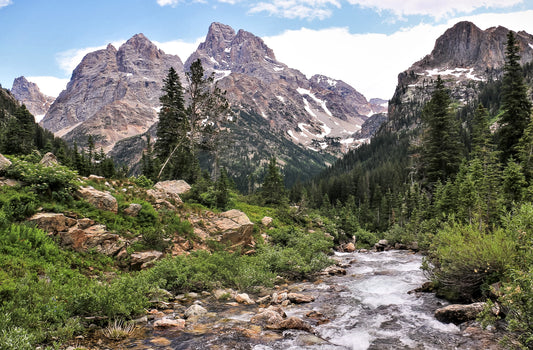 " Cascade Canyon " Print