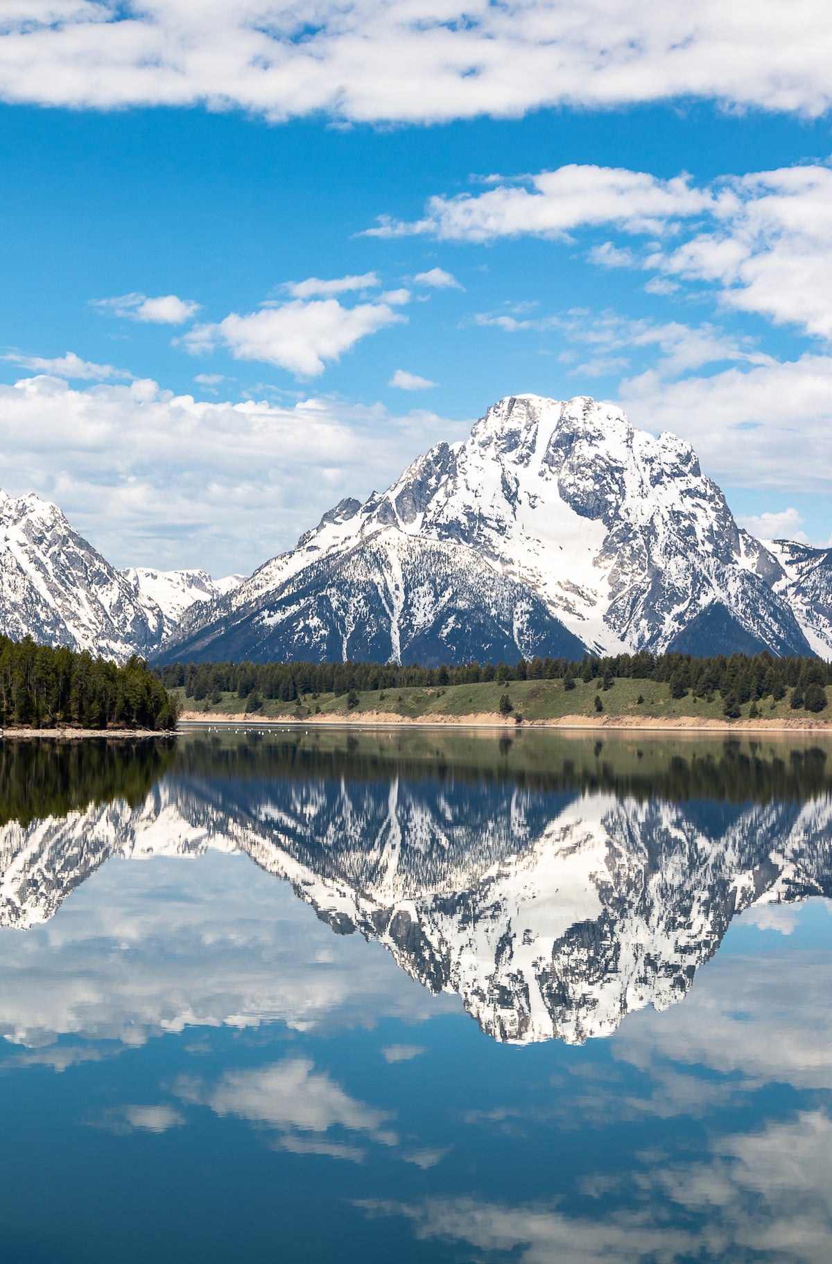 Photograph Print- " Moran Reflections " Grand Teton National Park