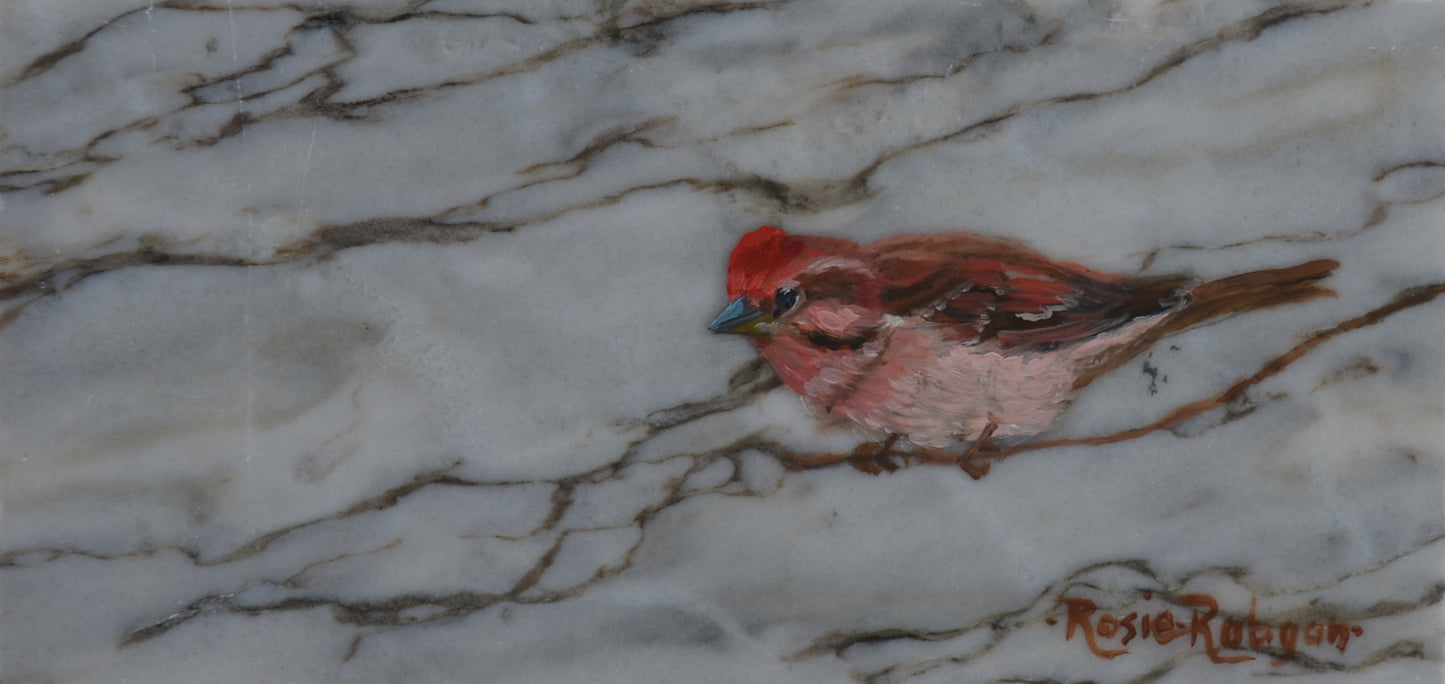 Original Oil Painting Framed- "Another Nature's Beauty" Cassin's Finch