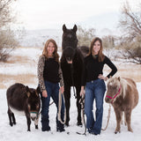 " The Heart Of A Cowgirl " Children's Book