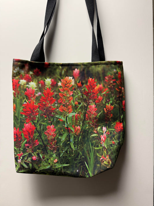 Canvas Bag - Indian Paintbrush