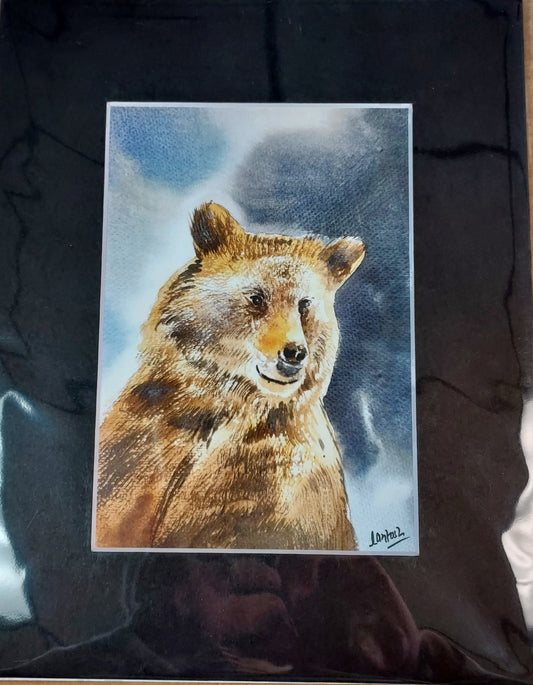 Wildlife Themed - Assorted 8x10 Matted Prints