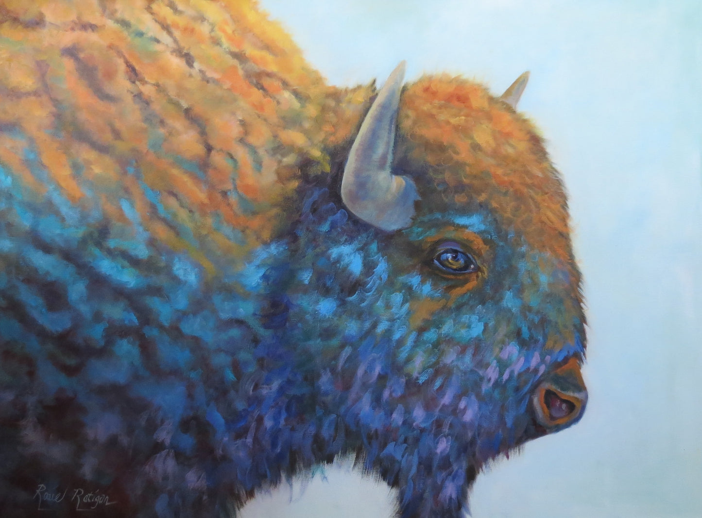 Card Pack- Set of 4 -Assorted Bison