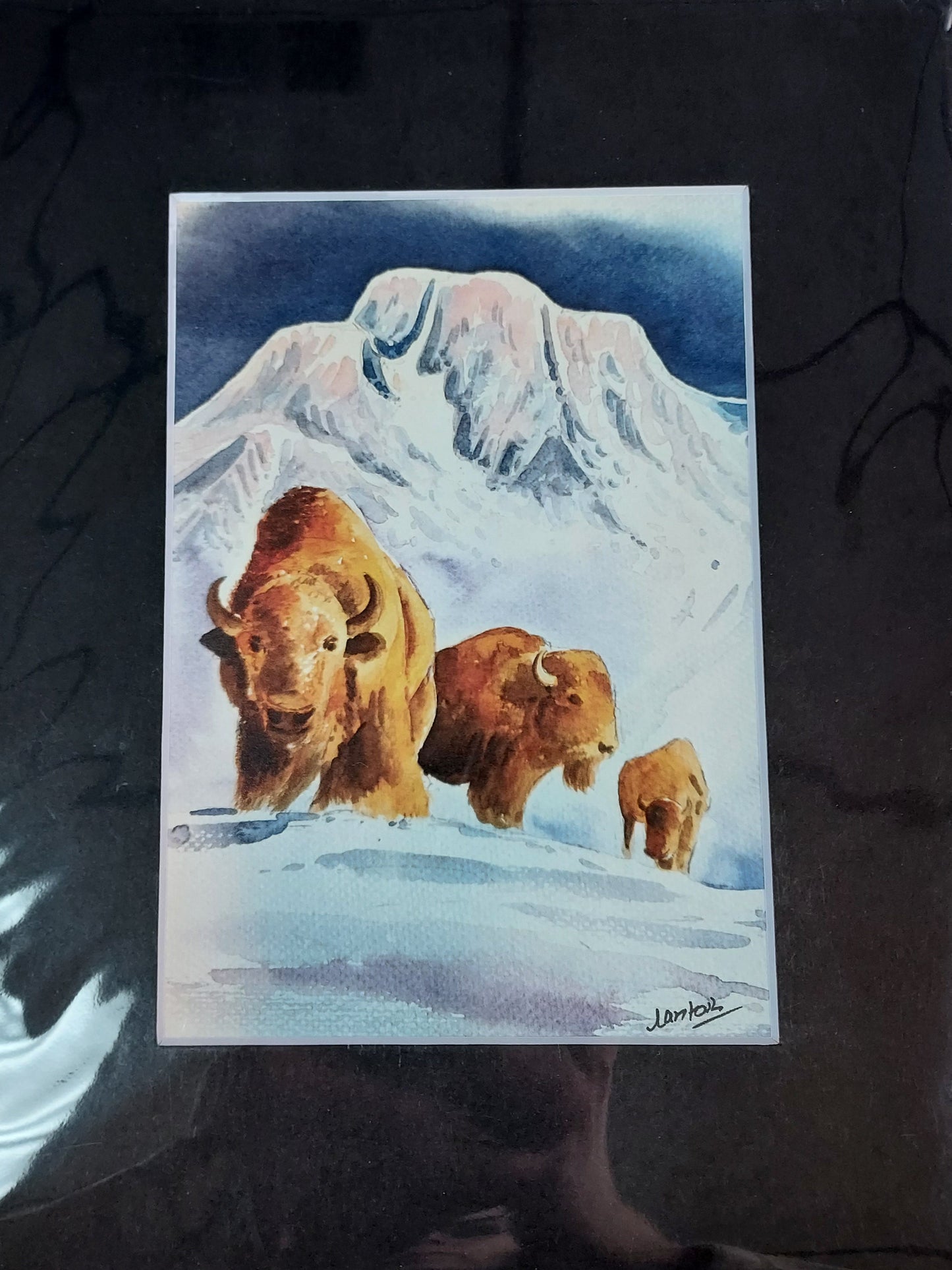 Wildlife Themed - Assorted 8x10 Matted Prints