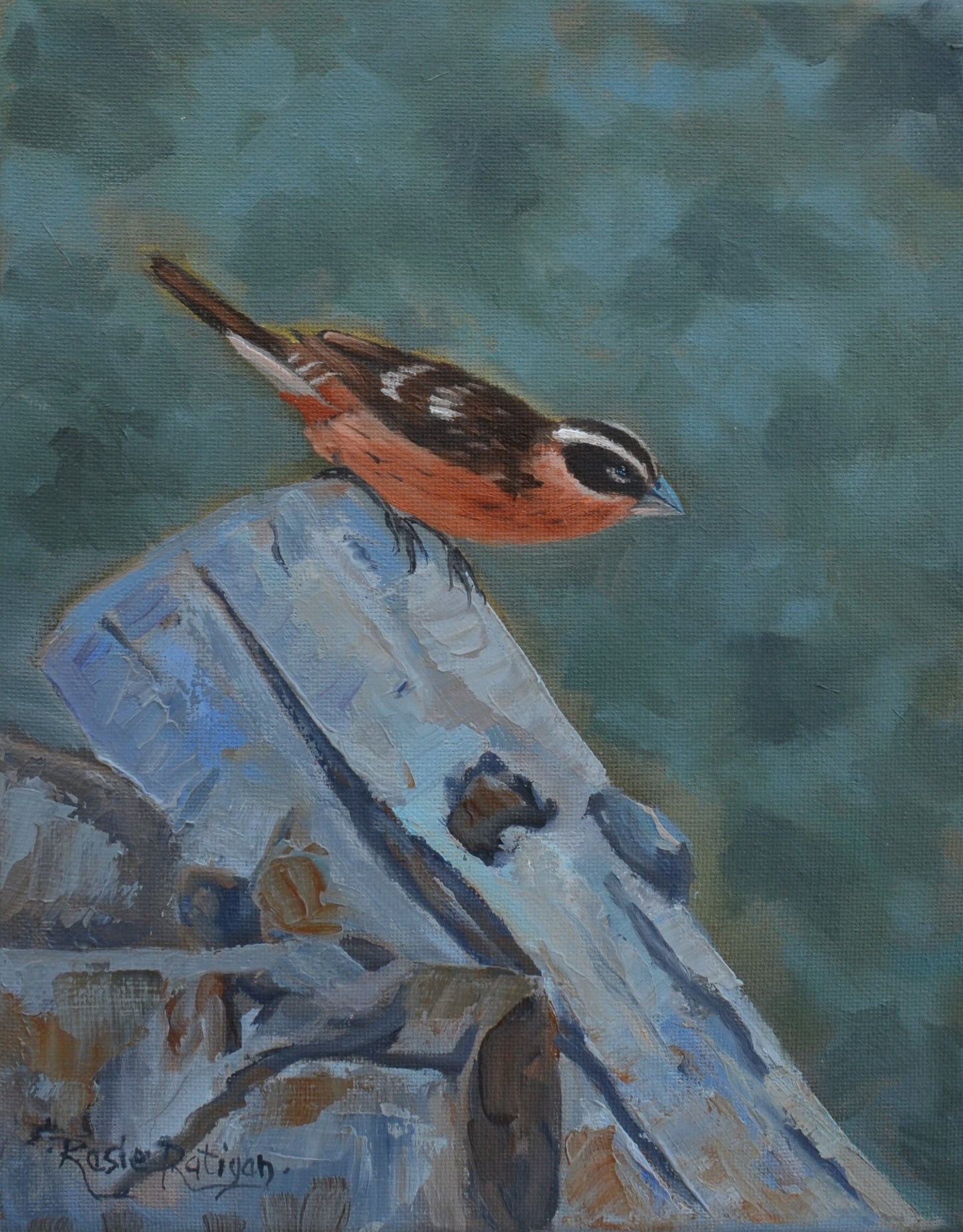 Original Oil Painting Framed- "Black Headed Grosbeak"