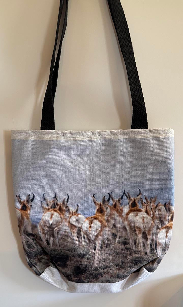 Photograph - " Butt Seriously " Pronghorn Antelope