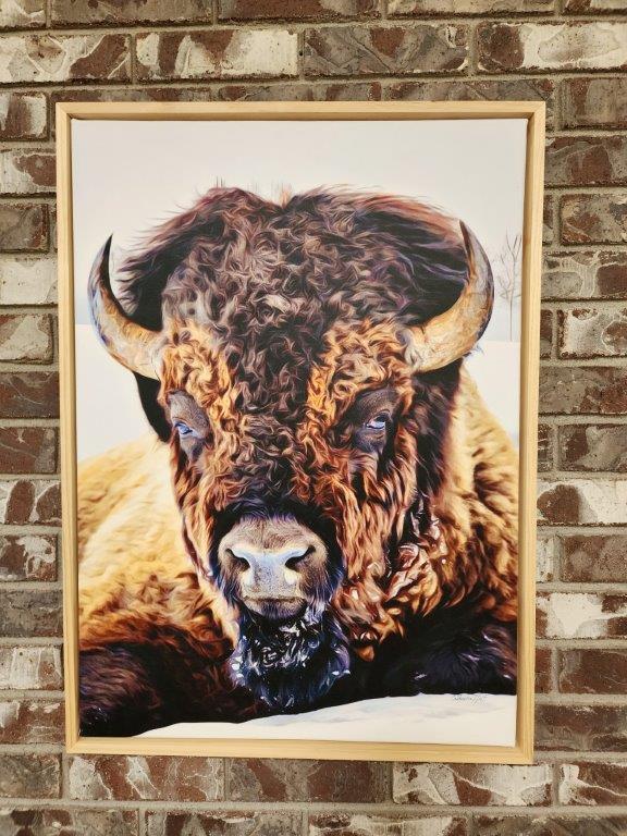 Framed Canvas Print - "Guss" Large Bison