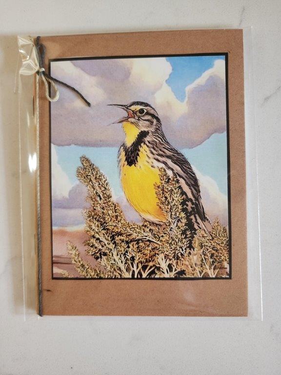Pocket Notebook - Meadowlark