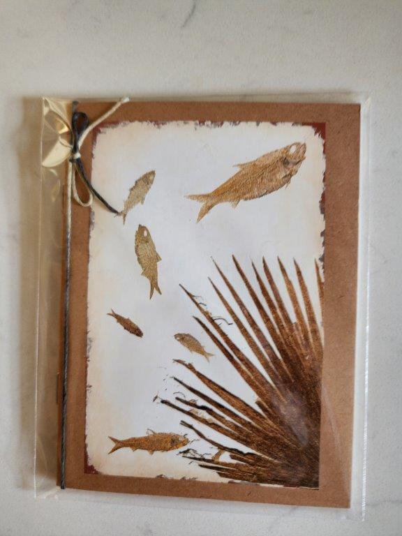 Pocket Notebook - Fossils