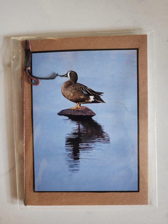 Pocket Notebook - Duck on a Rock