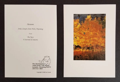 Autumn Color Photo Card
