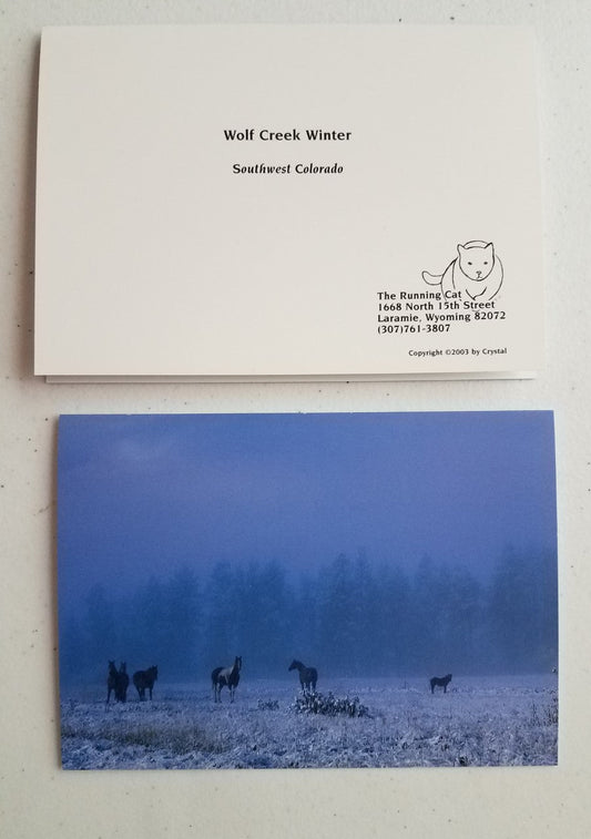 Color photo card of ranch horses under a cold winter's sky  5" x 7" blank card with envelope  Photograph was taken in Southwest Colorado