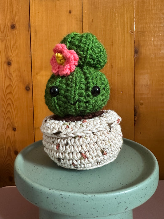 Hand Crochet Mossy Budding  Barrel Cactus with Coral Flower in Sandy Pot