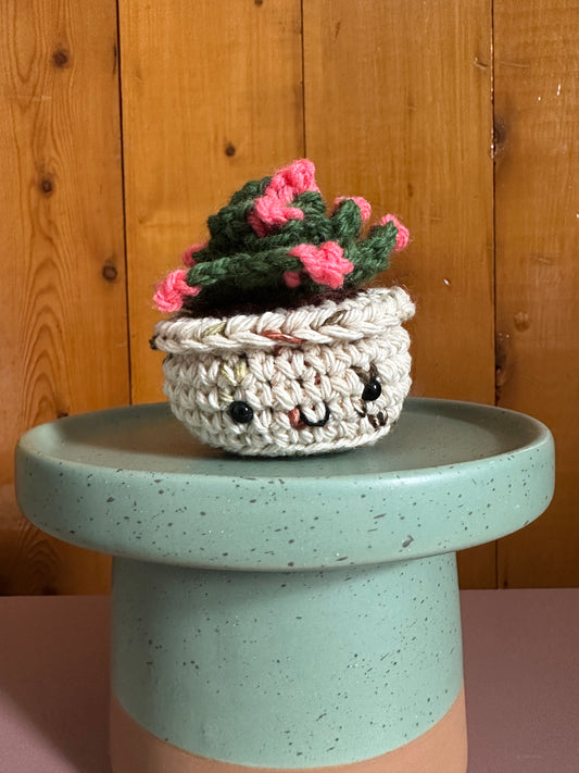 Kale Mini Succulent with Coral Flowers in a Sandy Pot