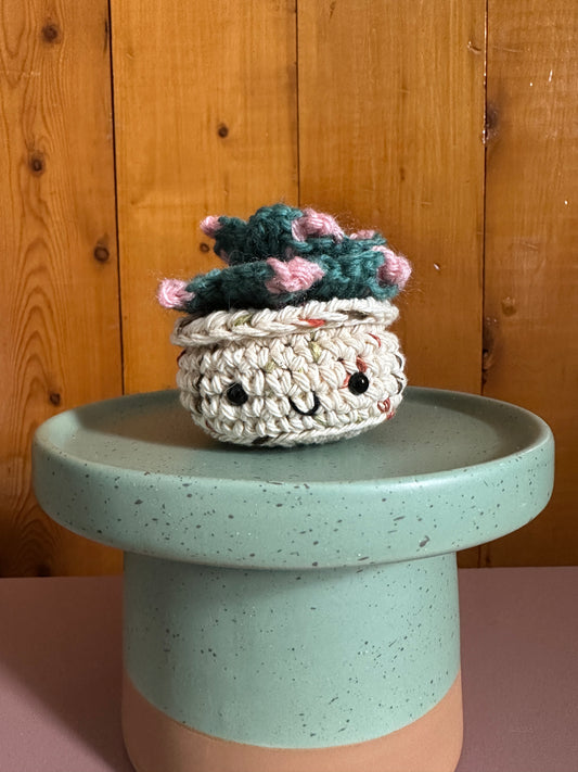 Thyme Mini Succulent with Blush Flower in a Sandy Pot