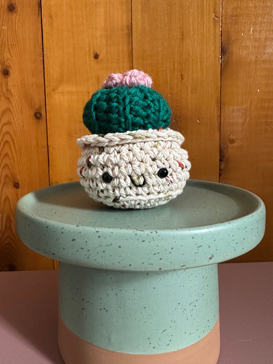 Kelly Green Mini Baby Barrel and Blush Flower with a Sandy Pot