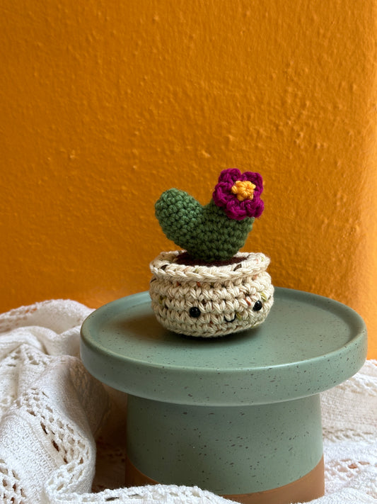 Mini Heart Crochet Cactus in Terracotta Pot with Clover Color