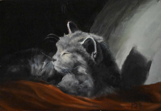 " Cat In Repose " Oil Painting