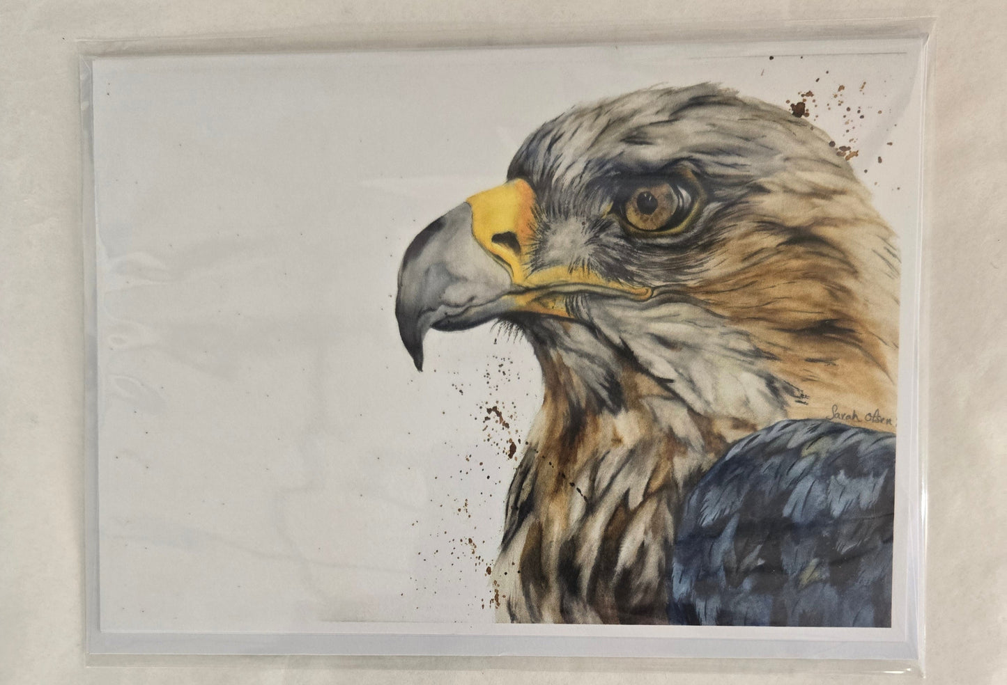 Eagle Eye  Watercolor Print